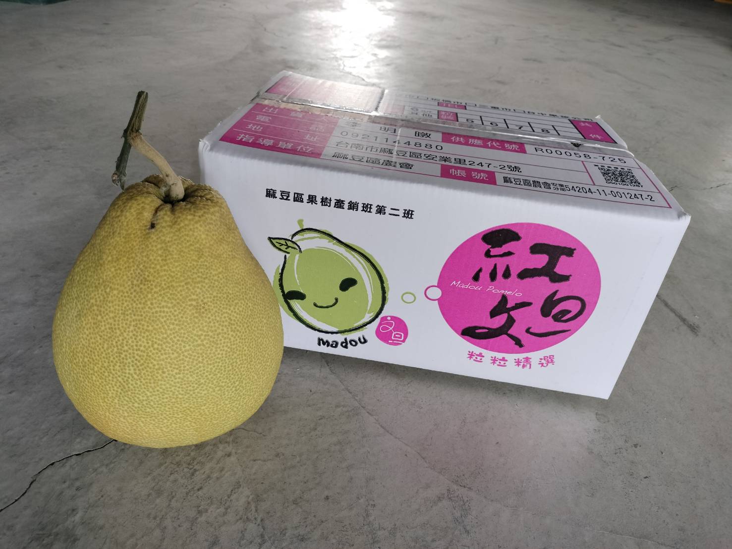 麻豆文旦